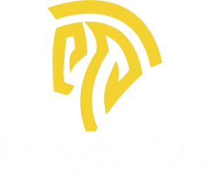 EasySMX